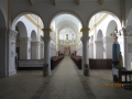 IMG_3100_resize