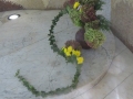 IMG_3172_resize