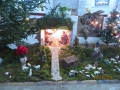 IMG_8902_resize