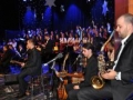 promusica-kosaca3