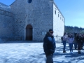 IMG_8950_resize