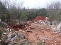 16_resize