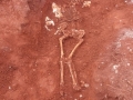 6_resize