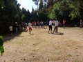 20170629_100913_resize