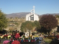 IMG_2454_resize