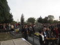 IMG_2501_resize