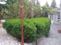 20170419_191249_resize