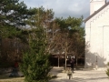 20171218_100910_resize