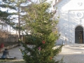 IMG_2996_resize