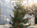 IMG_2997_resize