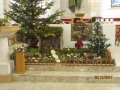 IMG_3000_resize