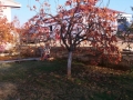 20161123_150220_resize