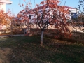 20161123_150227_resize
