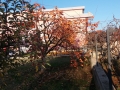 20161123_150302_resize