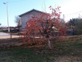 20161123_150439_resize