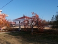20161123_150458_resize
