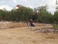 IMG_1438_resize