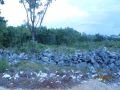 IMG_1350_resize