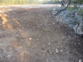 IMG_1495_resize
