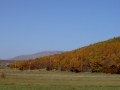 PICT0421