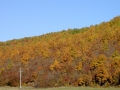 PICT0422
