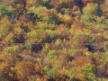 PICT0427