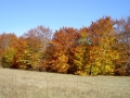 PICT0433