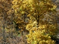 PICT0452