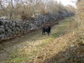 PICT0550