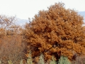 PICT0556