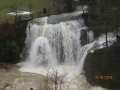 IMG_3313_resize
