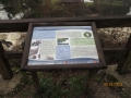 IMG_3315_resize
