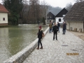 IMG_3331_resize