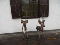 IMG_3335_resize