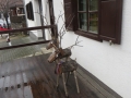 IMG_3336_resize