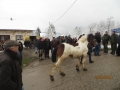 IMG_3399_resize