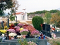 3341951_resize