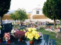 3342575_resize