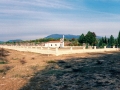3347631_resize