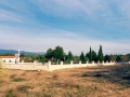 3348239_resize