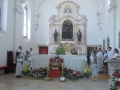 IMG_0386_resize