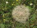 IMG_4253_resize