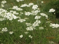 IMG_4255_resize