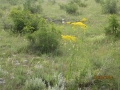 IMG_4263_resize