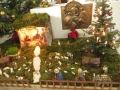 IMG_2955_resize