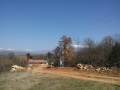 CAM00544