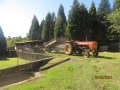 IMG_4220_resize