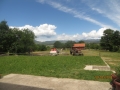 IMG_4231_resize