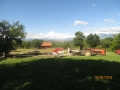 IMG_4234_resize