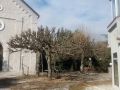 20170131_123310_resize